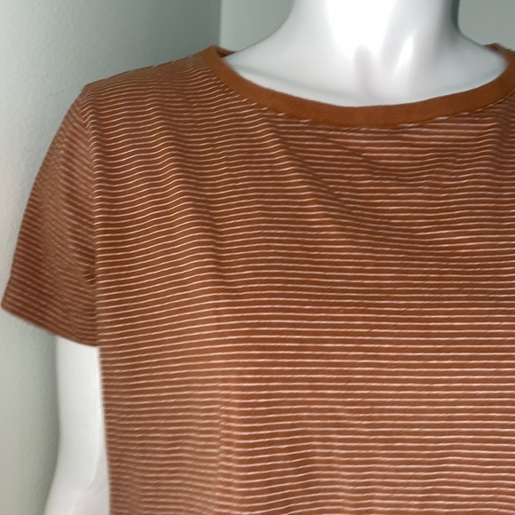 MOD REF High/Low Short sleeve brown stripe tee small - Picture 2 of 8